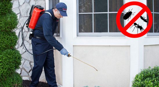 Bozyaka Akrep İlaçlama böcek ilaçlama ve haşere kontrolü — ilaclama-tr.com